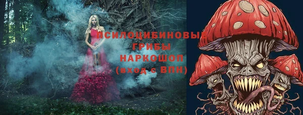 бошки Коряжма