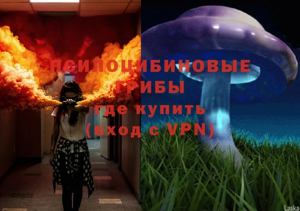 бошки Коряжма
