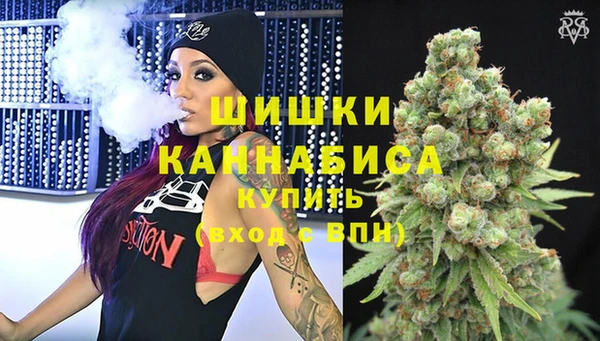 бошки Коряжма