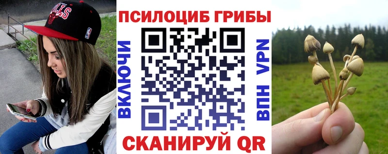 Купить где Кировск Псилоцибиновые грибы Cubensis